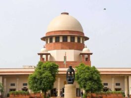 सुप्रीम कोर्ट का सख्त आदेश: अब सड़कों पर नहीं दिखेंगे आवारा मवेशी और कुत्ते