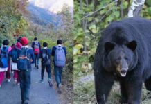 सीटियां बजाते स्कूल जाते बच्चे: भालू के डर से दहशत में ग्रामीण क्षेत्र