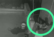 हल्द्वानी में चोरों के हौसले बुलंद, मंदिर में सेंधमारी की वारदात से हड़कंप