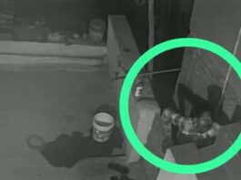 हल्द्वानी में चोरों के हौसले बुलंद, मंदिर में सेंधमारी की वारदात से हड़कंप