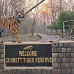 शिकारियों पर शिकंजा: कॉर्बेट पार्क में रेड अलर्ट, संवेदनशील इलाकों में सख्त पहरा