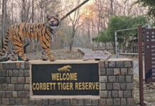 शिकारियों पर शिकंजा: कॉर्बेट पार्क में रेड अलर्ट, संवेदनशील इलाकों में सख्त पहरा