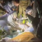 दहशत का सफाया: वन विभाग के जाल में फंसा बाघ, गांवों में लौटी रौनक