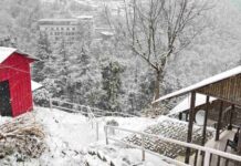 वसंत पंचमी पर कुदरत का तोहफा, उत्तराखंड की ऊंची चोटियों पर गिरी बर्फ