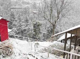 वसंत पंचमी पर कुदरत का तोहफा, उत्तराखंड की ऊंची चोटियों पर गिरी बर्फ