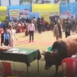 पूर्व विधायक ने माइक छीन लिया, सांड और हंगामे के बीच लोगों की समस्याएं हुईं हल