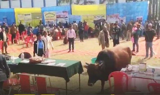 पूर्व विधायक ने माइक छीन लिया, सांड और हंगामे के बीच लोगों की समस्याएं हुईं हल