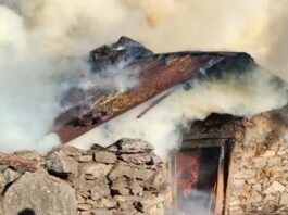 उत्तराखंड में गौशाला में भीषण आग, छह मवेशियों की मौत