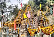 मकर संक्रांति पर आदिबदरी धाम के कपाट खुले, भक्त हुए रोमांचित