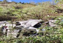 नैनीताल में बड़ा हादसाः जागेश्वर जा रहे युवकों की कार खाई में गिरी, दो की मौत