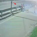 रास्ते पर आया कुत्ता और बाइक हो गई दुर्घटनाग्रस्त, युवक की मौत