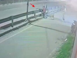 रास्ते पर आया कुत्ता और बाइक हो गई दुर्घटनाग्रस्त, युवक की मौत
