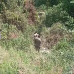 उत्तराखंड में फिर दर्दनाक सड़क हादसा: खाई में गिरी कार, महिला की मौत