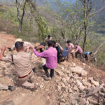 उत्तराखंड में भीषण हादसा, ट्रक खाई में गिरने से चालक की मौत