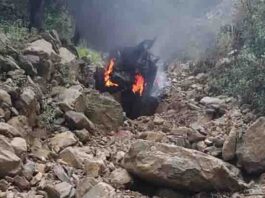 उत्तराखंड में भीषण हादसा: 250 मीटर गहरी खाई में गिरी कार, दो की मौत