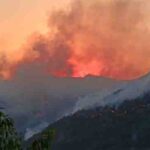 उत्तराखंड में जंगलों की आग बनी आफत, फायर गार्ड की दर्दनाक मौत से मचा हड़कंप
