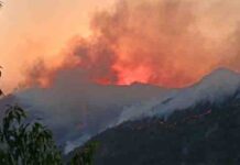 उत्तराखंड में जंगलों की आग बनी आफत, फायर गार्ड की दर्दनाक मौत से मचा हड़कंप