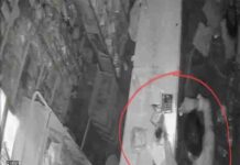 CCTV में कैद हुई बेखौफ चोरी! हल्द्वानी में ताले तोड़ हजारों की नकदी ले उड़े चोर