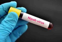 कोरोना के बाद अब निपाह का खतरा! संदिग्ध मरीज मिलने से स्वास्थ्य विभाग अलर्ट