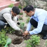 हरेला पर हरियाली का संकल्प: नैनीताल में हजारों पौधे रोपे, पर्यावरण संरक्षण का दिया संदेश