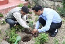 हरेला पर हरियाली का संकल्प: नैनीताल में हजारों पौधे रोपे, पर्यावरण संरक्षण का दिया संदेश