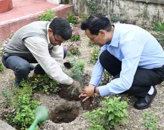 हरेला पर हरियाली का संकल्प: नैनीताल में हजारों पौधे रोपे, पर्यावरण संरक्षण का दिया संदेश