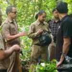 हल्द्वानीः बेलबाबा जंगल में फैली सनसनी, बाघ के हमले की अफवाह ने दौड़ाए ग्रामीण