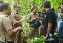 हल्द्वानीः बेलबाबा जंगल में फैली सनसनी, बाघ के हमले की अफवाह ने दौड़ाए ग्रामीण