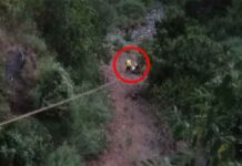 उत्तराखंड में भीषण सड़क हादसा, कार खाई में गिरने से एक की मौत और दो घायल